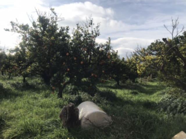 Finca/Casa Rural en venta en Bitem, Tarragona