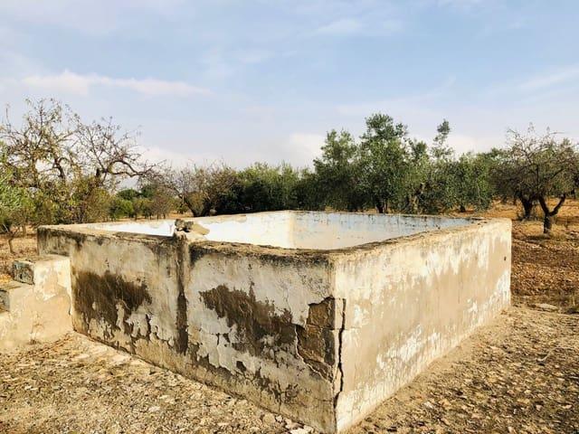 Finca/Casa Rural en venta en Biar, Alicante