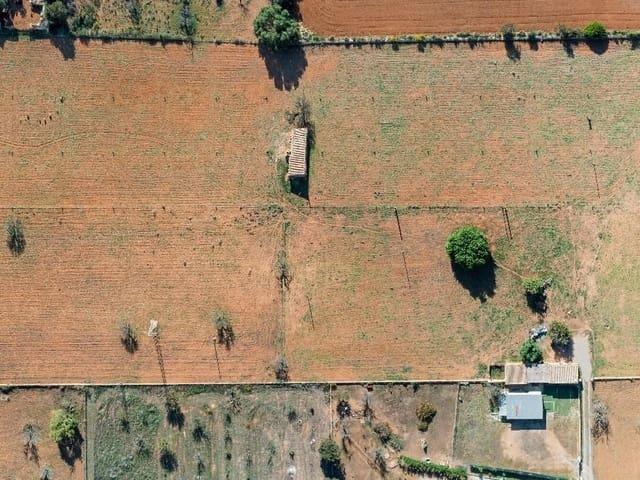 Finca/Casa Rural en venta en Búger, Mallorca