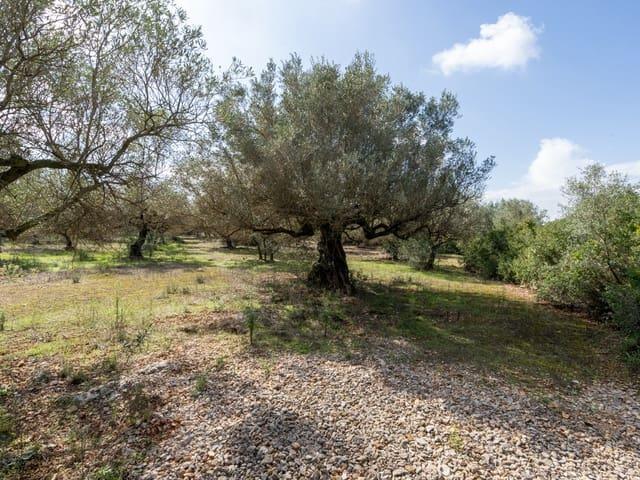 Finca/Casa Rural en venta en Godall, Tarragona