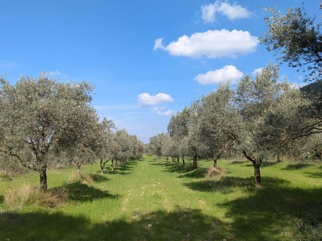 Finca/Casa Rural en venta en Gandesa, Tarragona