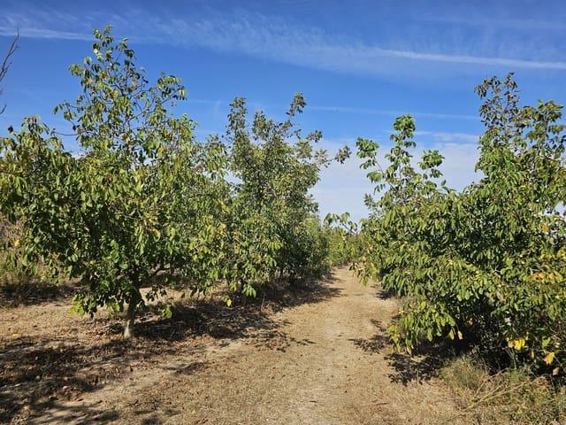 Finca/Casa Rural en venta en Gandesa, Tarragona