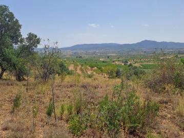 Finca/Casa Rural en venta en Gandesa, Tarragona