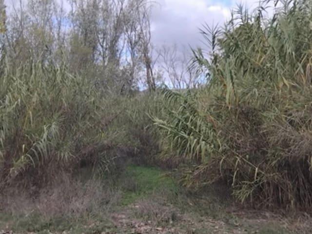 Finca/Casa Rural en venta en Garcia, Tarragona