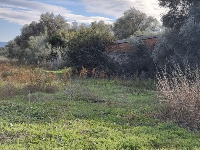 Finca/Casa Rural en venta en Garcia, Tarragona