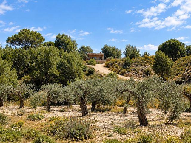 Finca/Casa Rural en venta en Gea y Truyols, Murcia