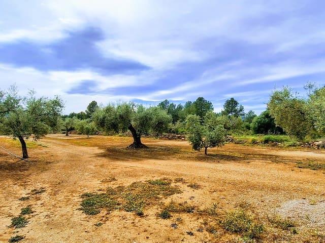 Finca/Casa Rural en venta en Ginestar, Tarragona