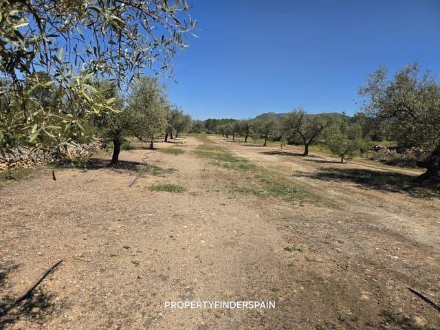 Finca/Casa Rural en venta en Ginestar, Tarragona