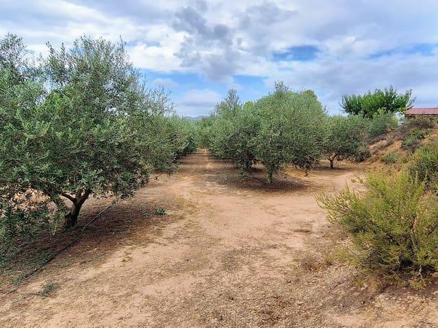 Finca/Casa Rural en venta en Ginestar, Tarragona