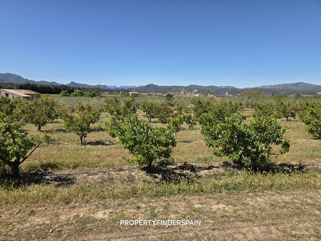 Finca/Casa Rural en venta en Ginestar, Tarragona