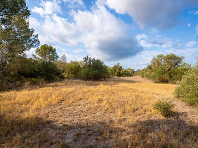 Finca/Casa Rural en venta en Ginestar, Tarragona