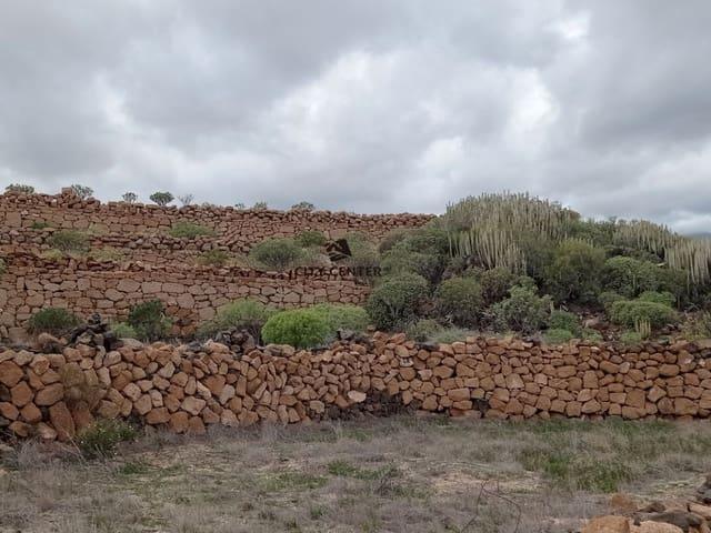Finca/Casa Rural en venta en Granadilla de Abona, Tenerife