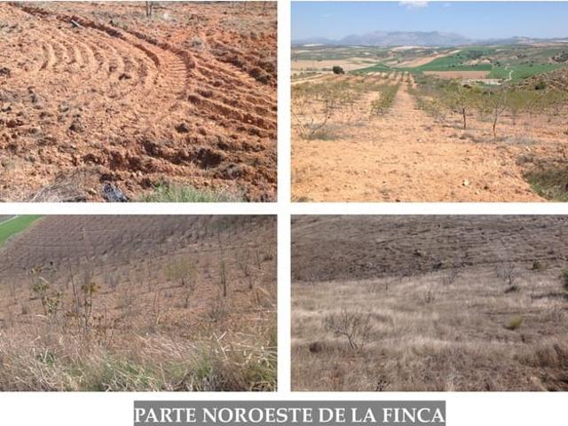 Finca/Casa Rural en venta en Guadahortuna, Granada