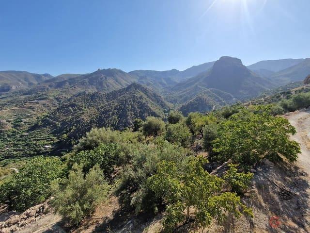 Finca/Casa Rural en venta en Guajar Alto, Granada Costa Tropical