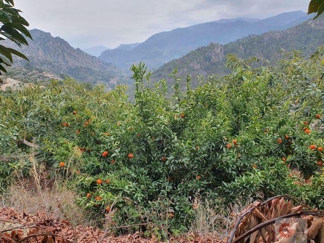 Finca/Casa Rural en venta en Guajar Alto, Granada Costa Tropical