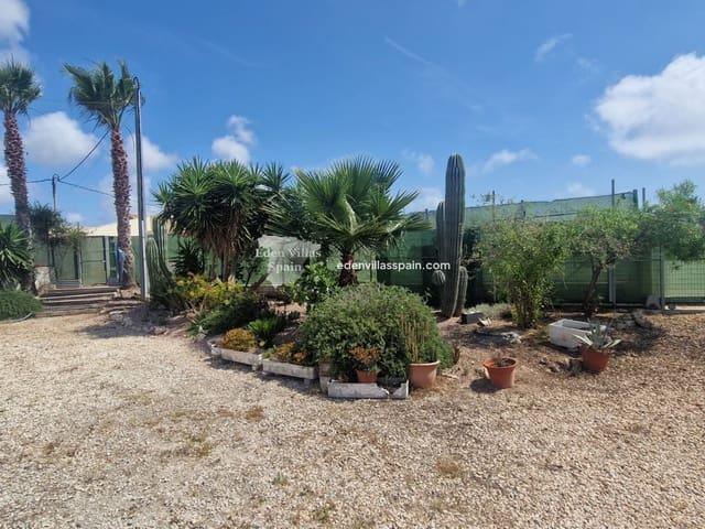 Finca/Casa Rural en venta en Guardamar del Segura, Alicante Costa Blanca