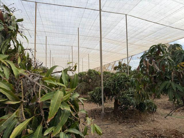 Finca/Casa Rural en venta en Güímar, Tenerife