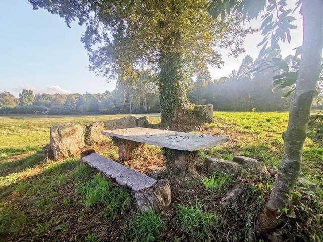 Finca/Casa Rural en venta en Guitiriz, Lugo