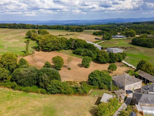 Finca/Casa Rural en venta en Guntín, Lugo