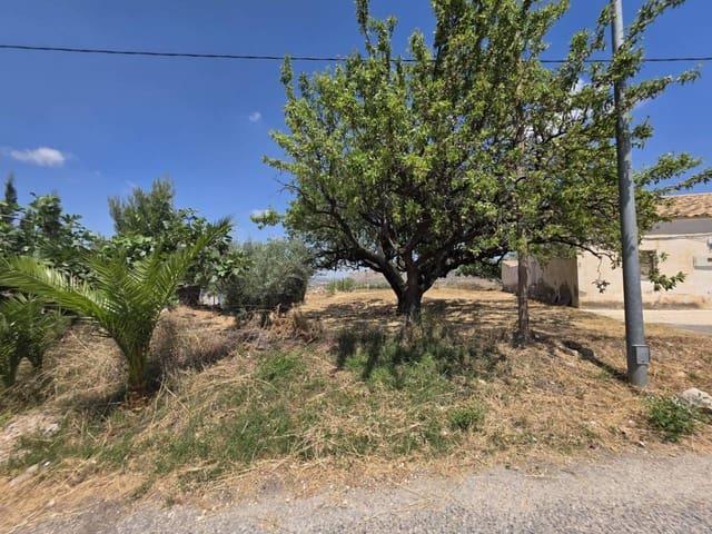 Finca/Casa Rural en venta en Doña Ines, Murcia