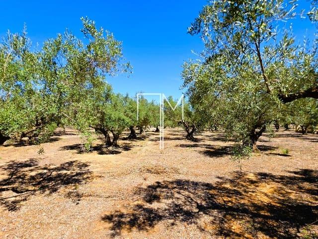 Finca/Casa Rural en venta en Enguera, Valencia
