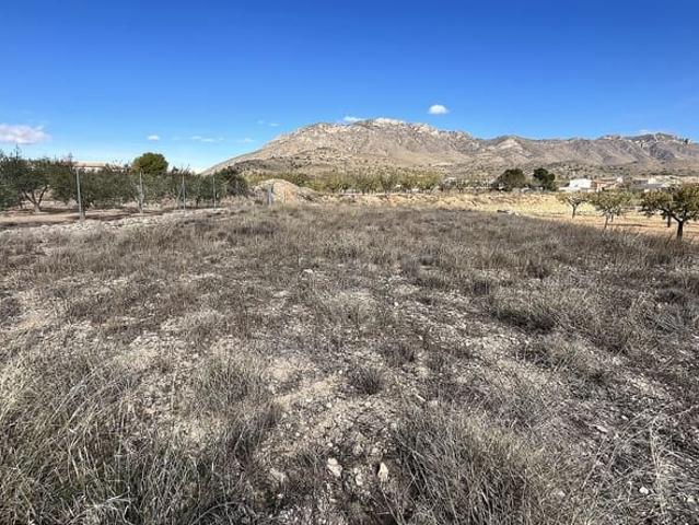 Finca/Casa Rural en venta en El Cantón, Murcia