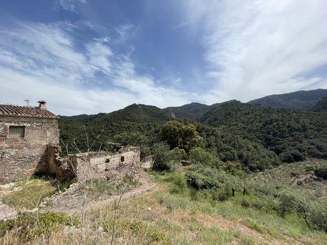 Finca/Casa Rural en venta en El Burgo, Málaga