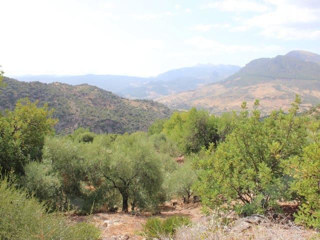 Finca/Casa Rural en venta en El Gastor, Cádiz