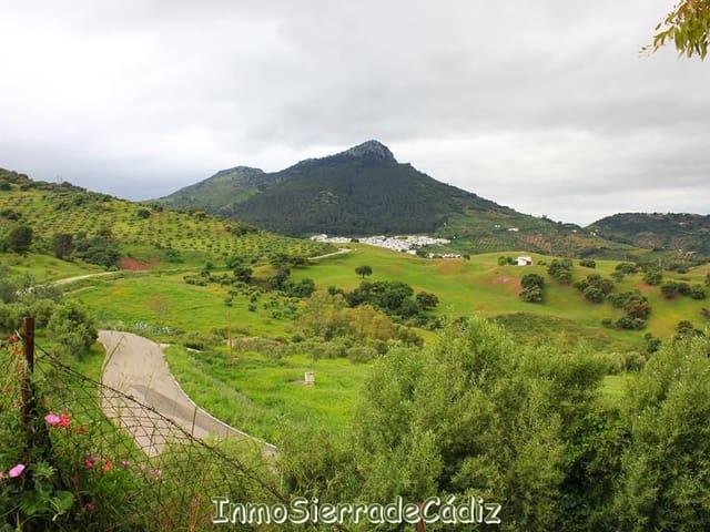 Finca/Casa Rural en venta en El Gastor, Cádiz