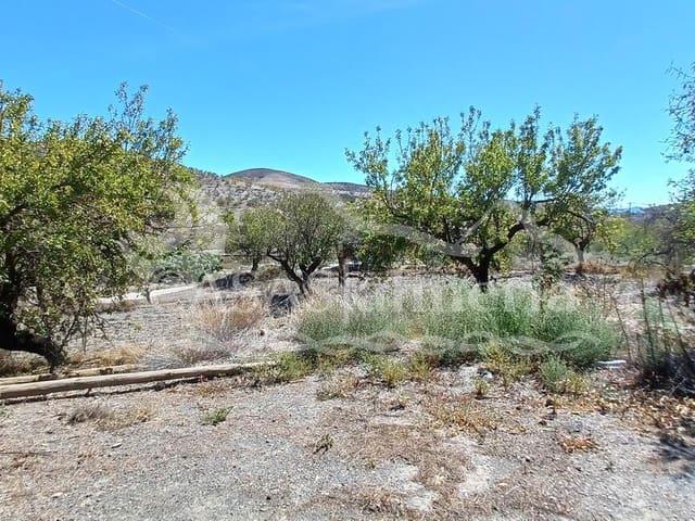 Finca/Casa Rural en venta en El Puertecico, Almería