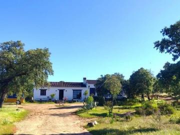 Finca/Casa Rural en venta en El Ronquillo, Sevilla