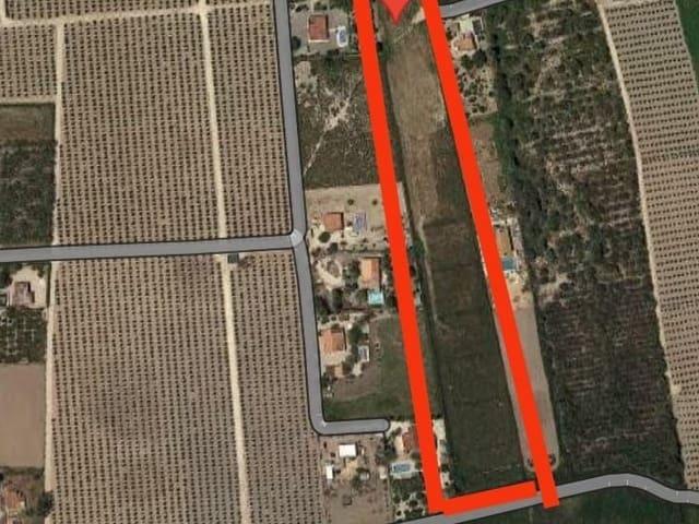 Finca/Casa Rural en venta en Elche / Elx, Alicante
