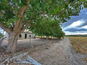 Finca/Casa Rural en venta en Elche / Elx, Alicante