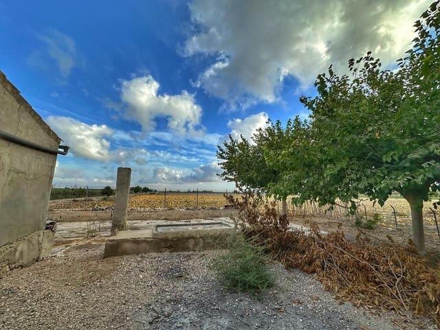 Finca/Casa Rural en venta en Elche / Elx, Alicante