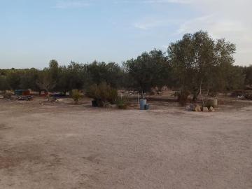 Finca/Casa Rural en venta en Elche / Elx, Alicante