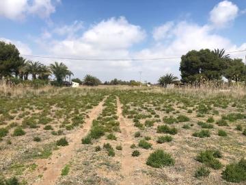 Finca/Casa Rural en venta en Elche / Elx, Alicante