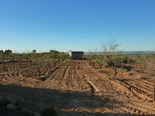 Finca/Casa Rural en venta en Fabara, Zaragoza