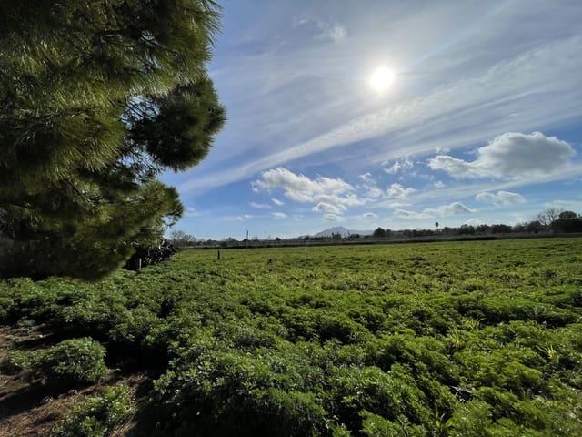 Finca/Casa Rural en venta en Felanitx, Mallorca