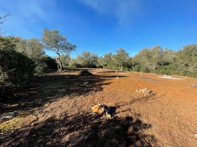 Finca/Casa Rural en venta en Felanitx, Mallorca