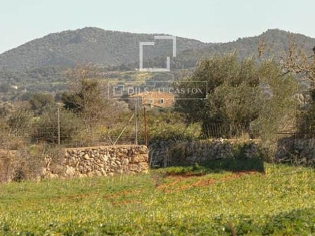 Finca/Casa Rural en venta en Felanitx, Mallorca