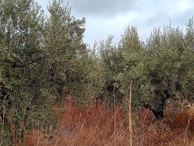 Finca/Casa Rural en venta en Felix, Almería Costa Almería