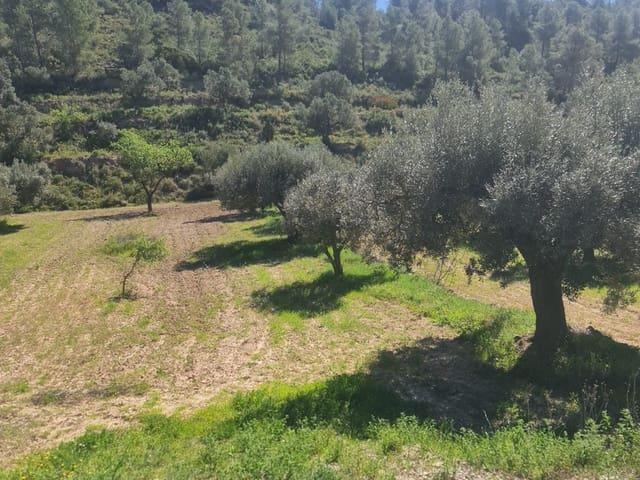 Finca/Casa Rural en venta en Flix, Tarragona