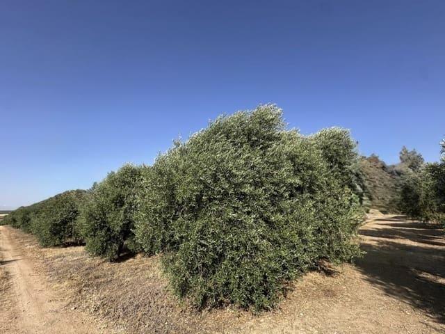 Finca/Casa Rural en venta en Fuente de Piedra, Málaga