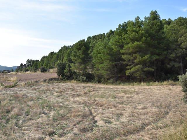 Finca/Casa Rural en venta en Fuentespalda, Teruel