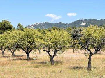 Fuentespalda, Teruel, Aragón, Aragón