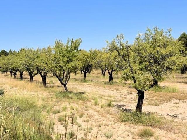 Finca/Casa Rural en venta en Fuentespalda, Teruel