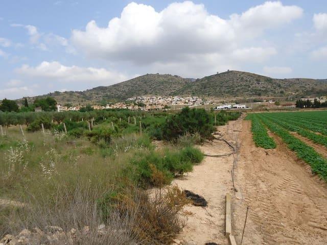 Finca/Casa Rural en venta en Hondón de las Nieves, Alicante