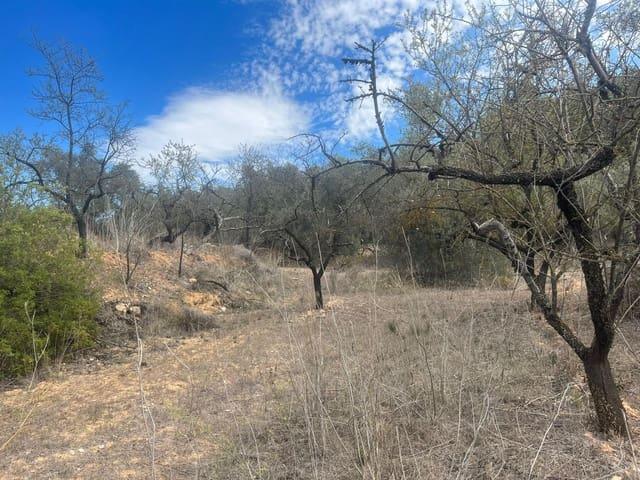 Finca/Casa Rural en venta en Horta de Sant Joan, Tarragona