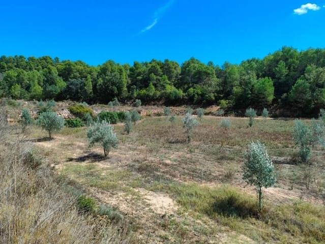 Finca/Casa Rural en venta en Horta de Sant Joan, Tarragona