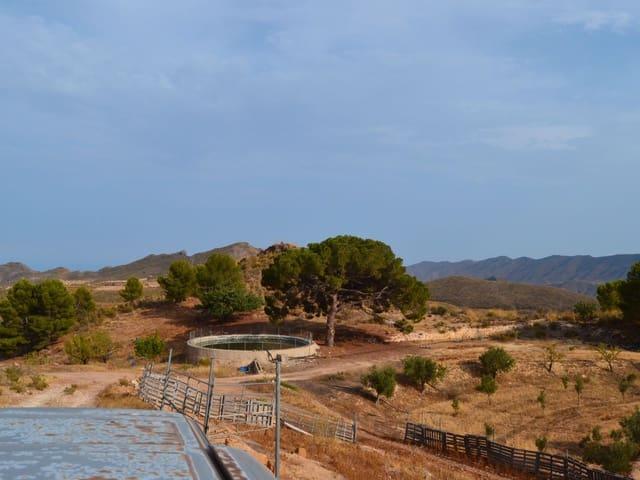 Finca/Casa Rural en venta en Lorca, Murcia